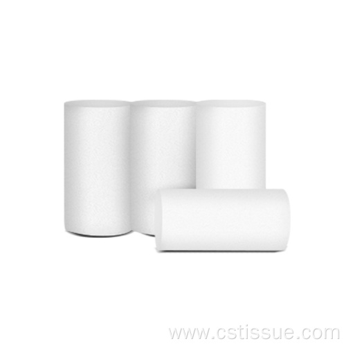 Absorbing Biodegradable Tissue Toilet Roll